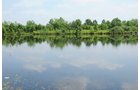 Property photo 45 - 1,025 Acres in 24 Tracts - Exellent Recreation Opportunity - Potential Building Sites - 11 Lakes & Ponds